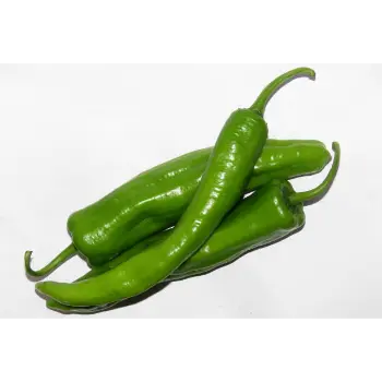 green chilli (21)-967611-38810.webp